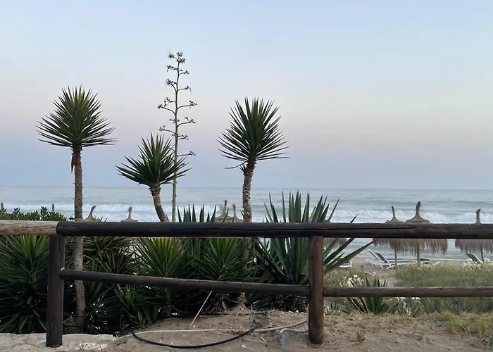 Estudio Con Terraza En