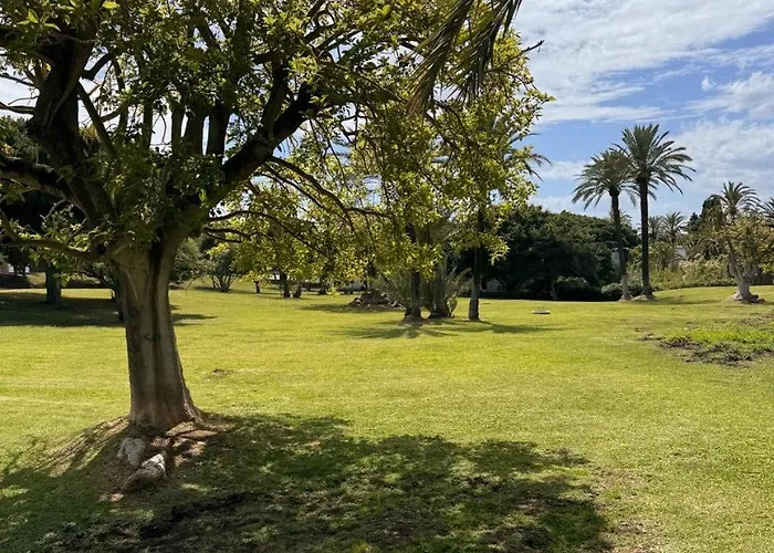 Lejlighed Estudio Con Terraza En