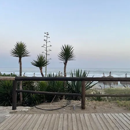 Estudio Con Terraza En