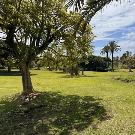 Appartamento Estudio Con Terraza En